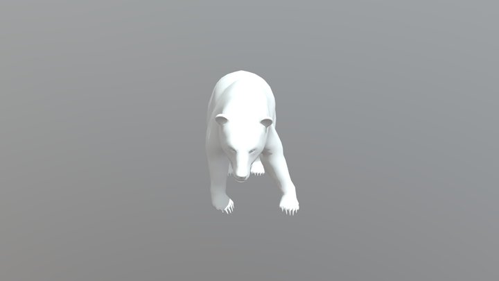 Bear 3D Model