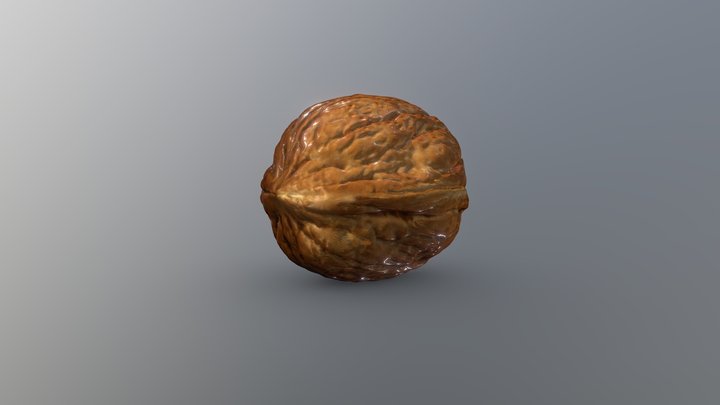 Walnut 3D Model