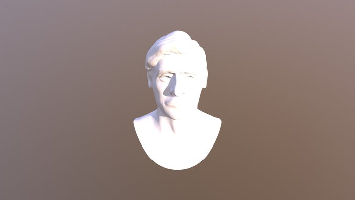 Poe Face 3D Model