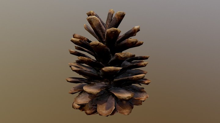 Unity Delighting Tool: Pine Cone 3D Model