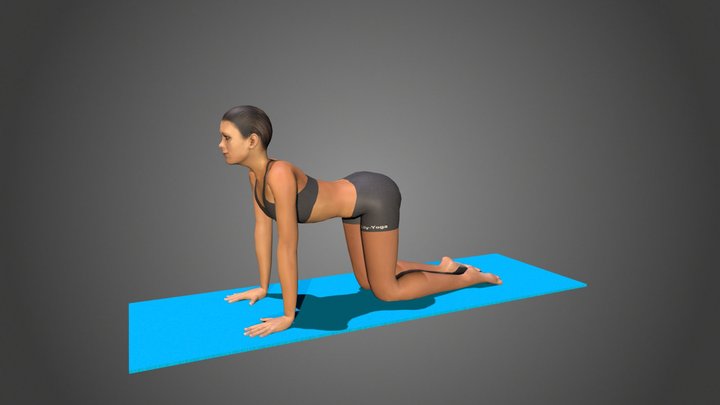 Yoga Pose - Bitilasana - Cow Pose 3D Model