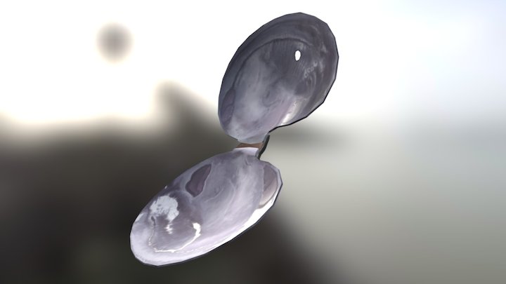 Clam 3D Model