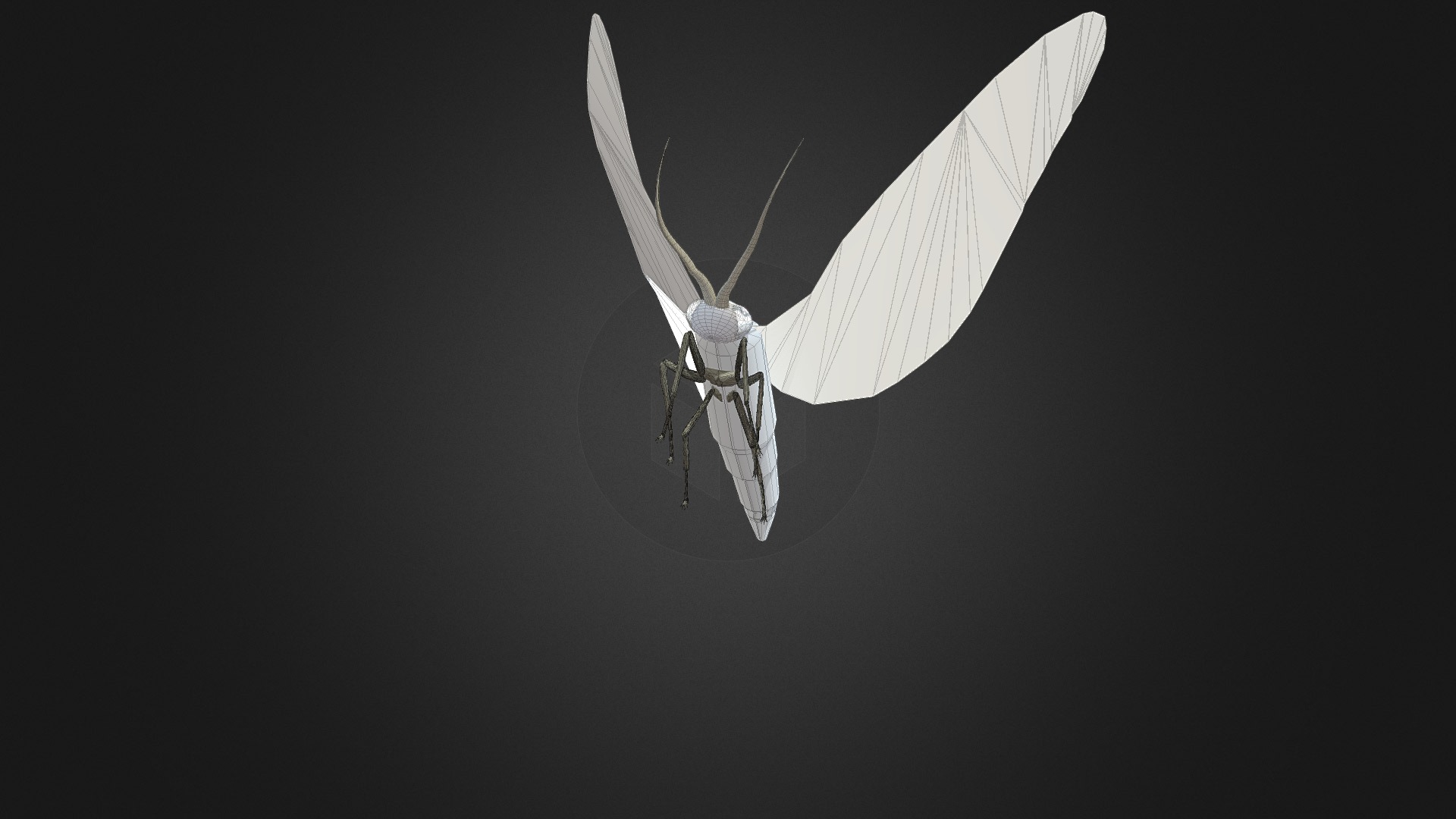 3D model Moth Insect - This is a 3D model of the Moth Insect. The 3D model is about a close-up of a fly.