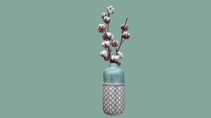 coton séché 3D Model