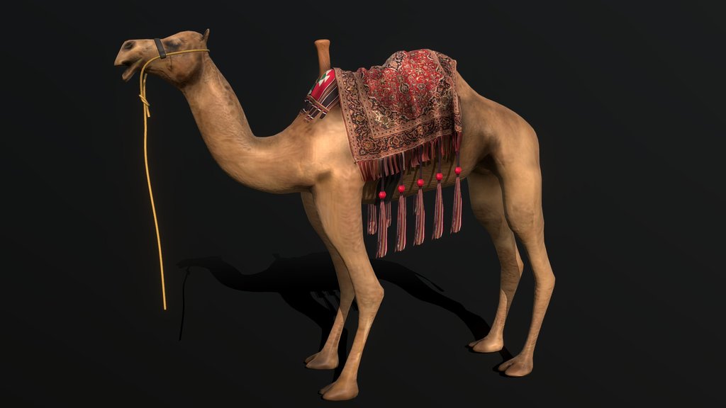 camel