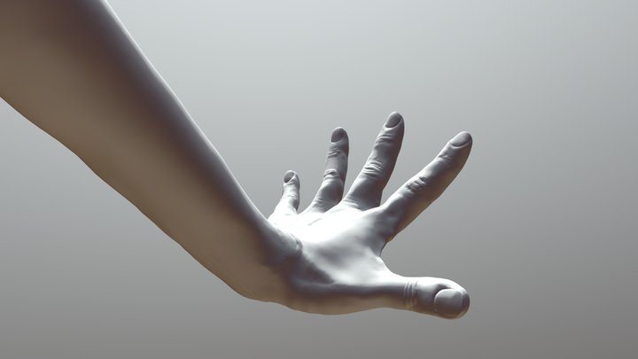 Hand Pose 3D Model