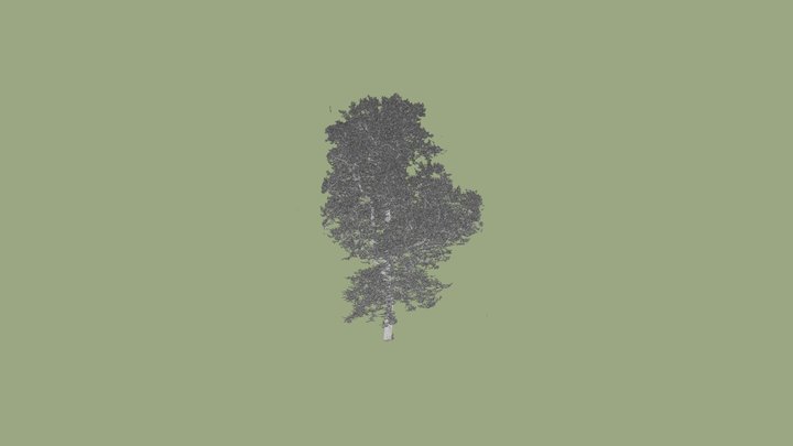 Plot TREE 3 (or 5 on ufora) ARS 3D Model