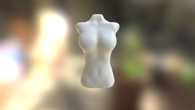 Woman Torso 3D Model