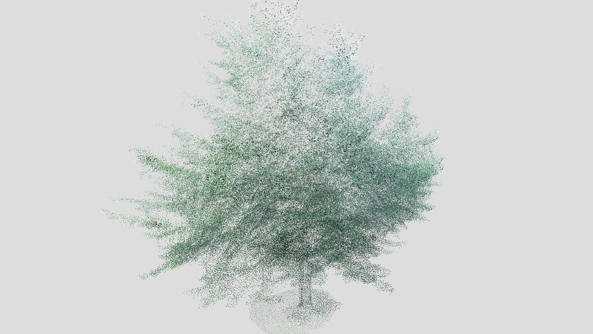 Carpinus Betulus [common hornbeam] Point Cloud