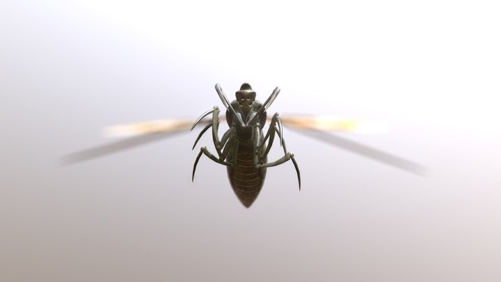 Stealth Wasp – Modelo 3D gratuito STL