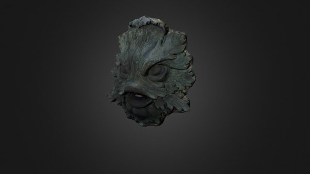 Water Mask 3D Model