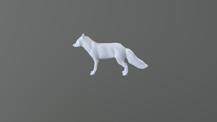 Fox Model 3D Model