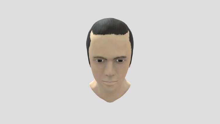 Head Bust 3D Model