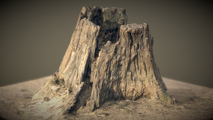 Old Tree Stump 4 3D Model