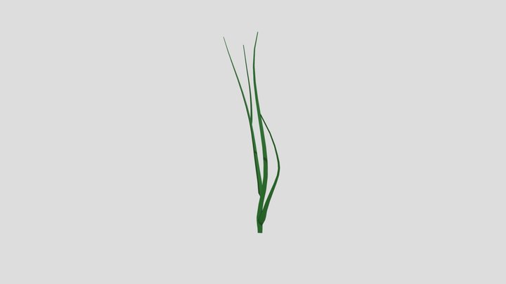 plant 3D Model