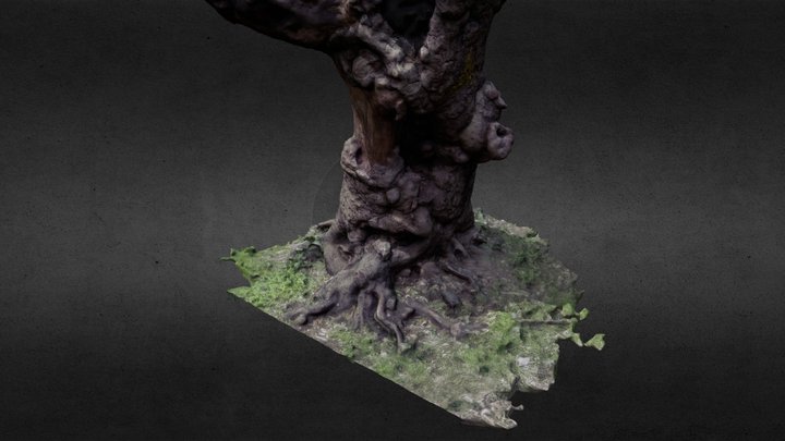 Deformed tree 3D Model