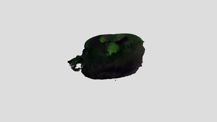 Exercise Room #2 3D Model