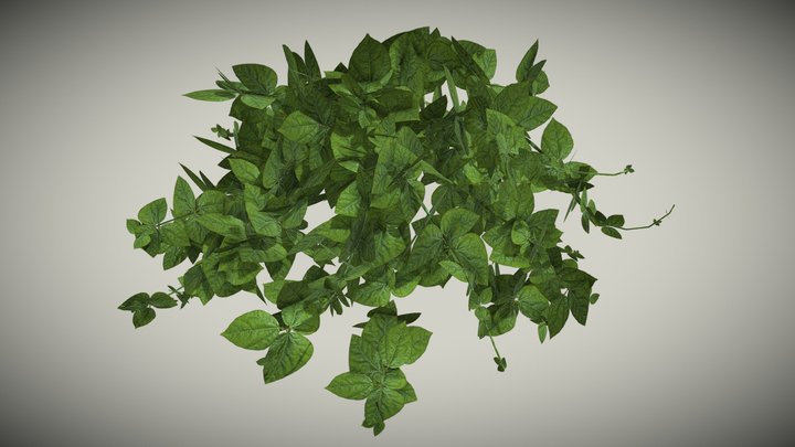 Snail Vine - Free Download 3D Model