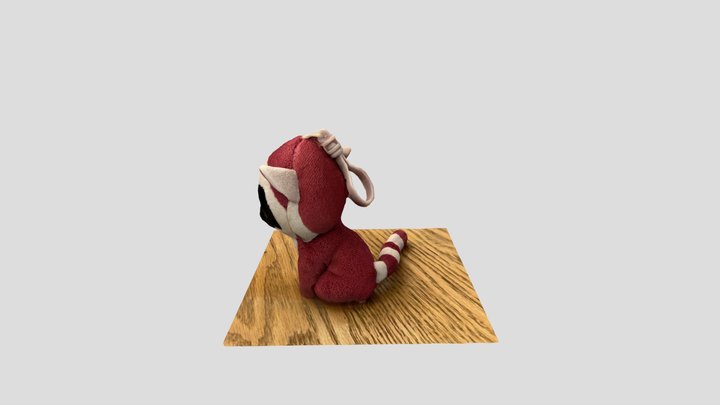 Polycam capture 3D Model