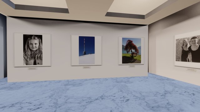 Instamuseum for @phippuuuu 3D Model