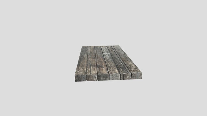 Trapdoor Door 3D Model