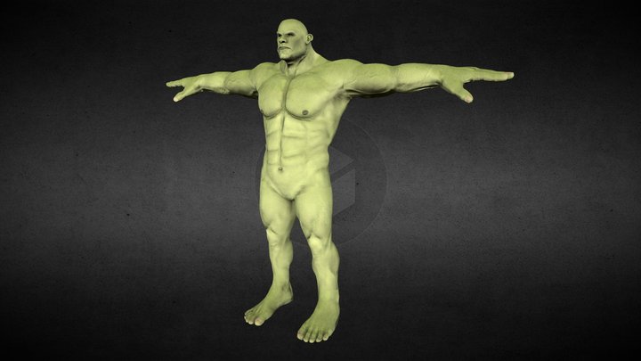 Brute Orc 3D Model