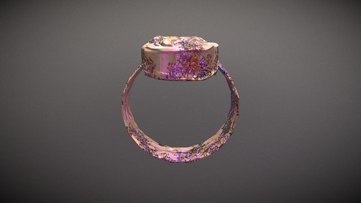 Anneaux Mystérieux 3D Model