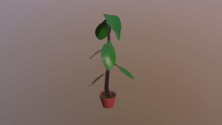 Rubber Tree Plant 3D Model