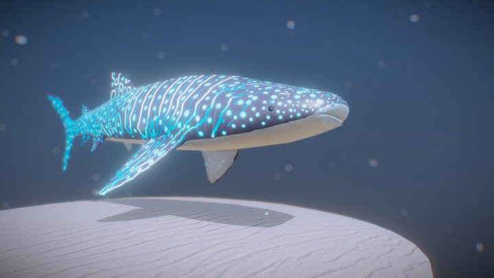 Whale Shark Fantasy 3D Model
