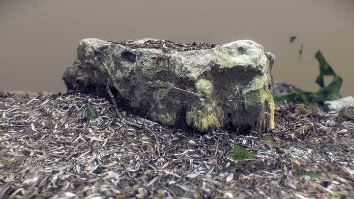 rock in the woods 3D Model