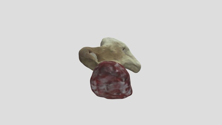 Exvoto romano (Morón de la Frontera) 3D Model