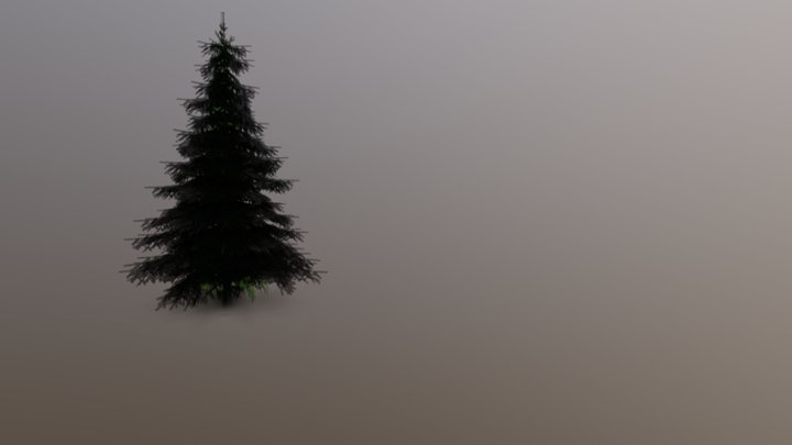 Spruce 3D Model