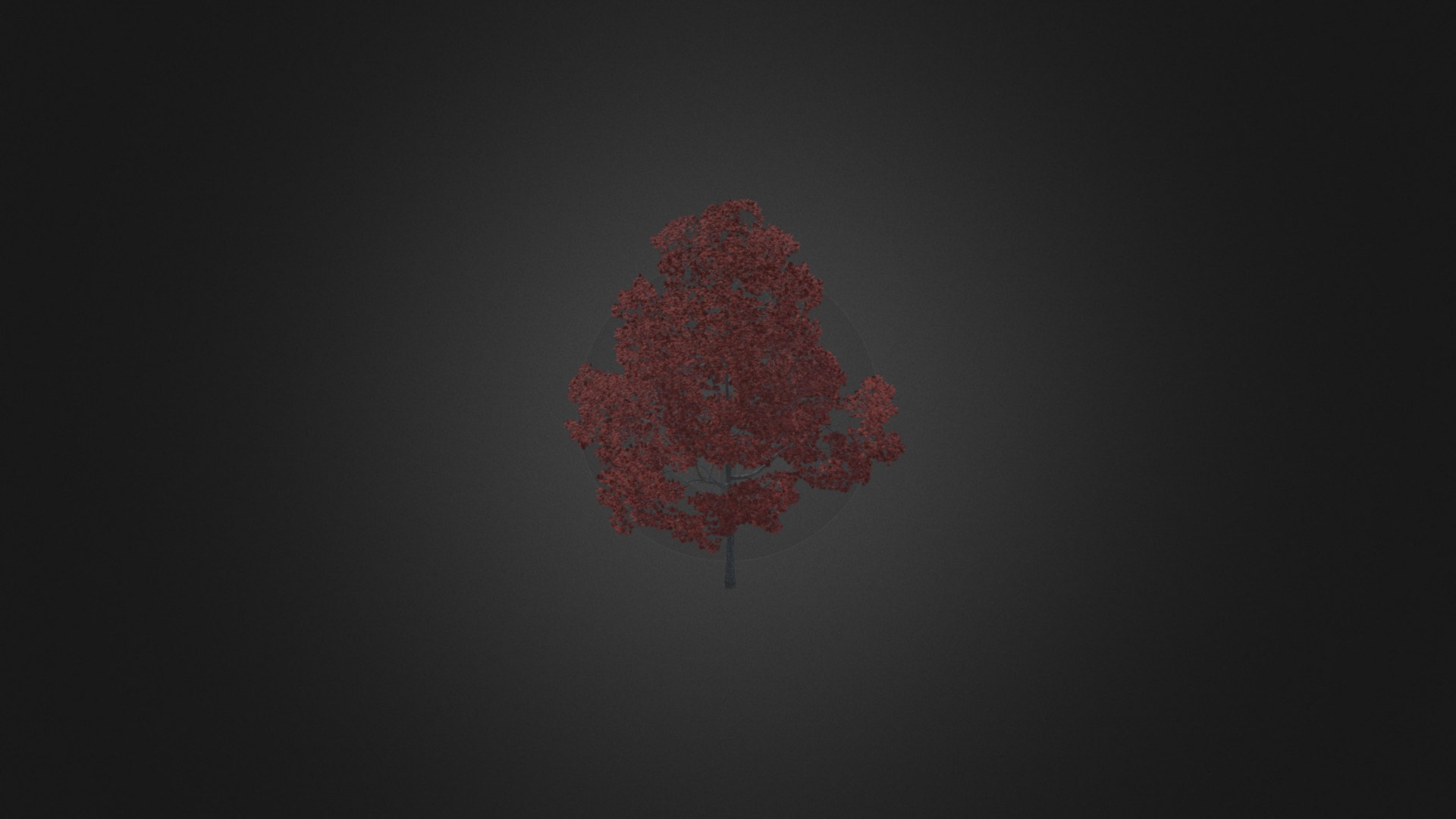 3D model Acer Platanoides 15M (Autumn) - This is a 3D model of the Acer Platanoides 15M (Autumn). The 3D model is about map.