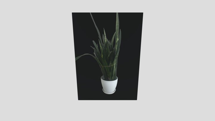 Green 3D Model