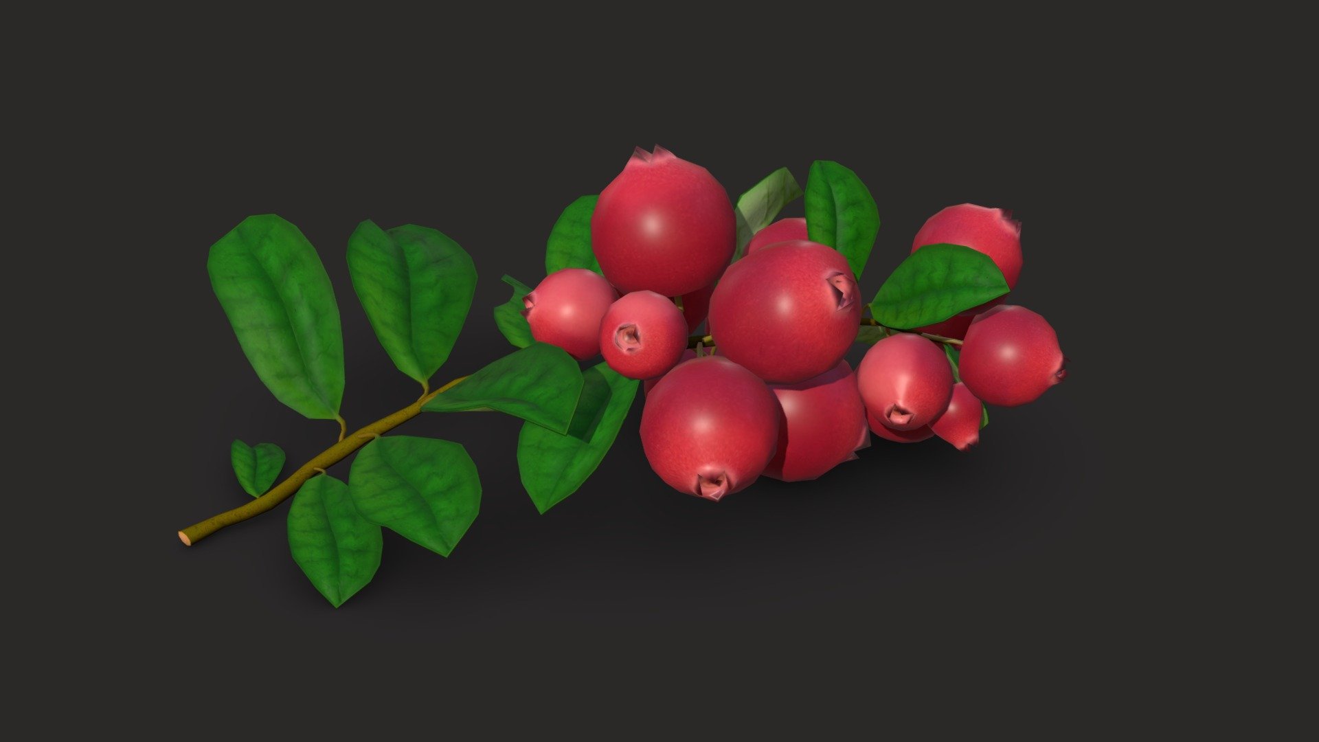 Lingonberry — Sketchfab embed 3D viewer