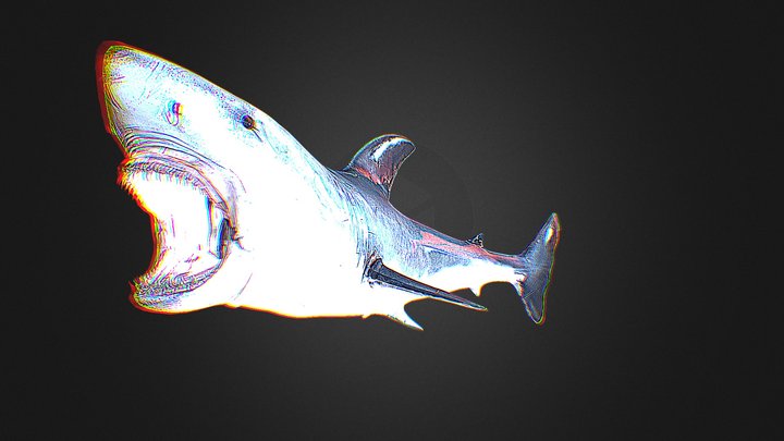 JAWS! 3D Model