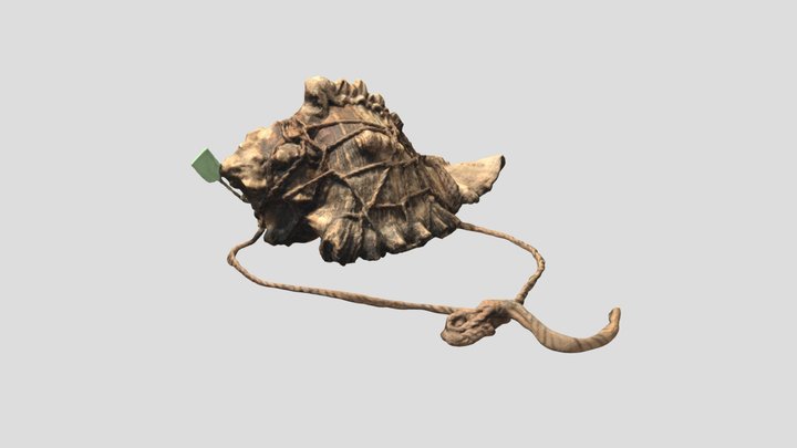 Secret Amulet 3D Model