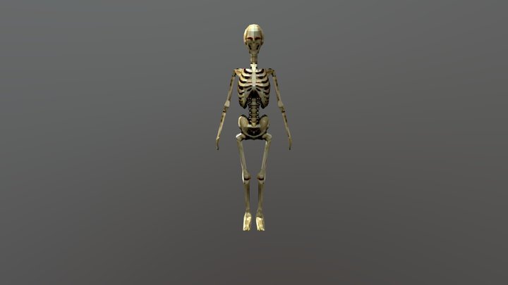 [ RIGGED ] PSX LowPoly Retro - Skeleton 3D Model