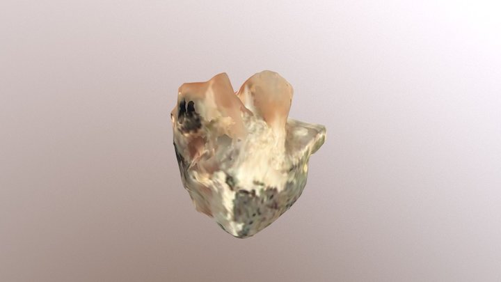 New Qlone 3D Model