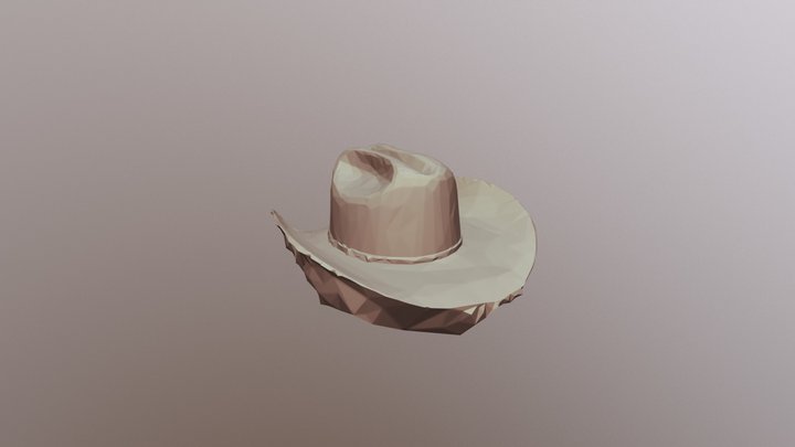 Cowboy Hat 2500poly 3D Model