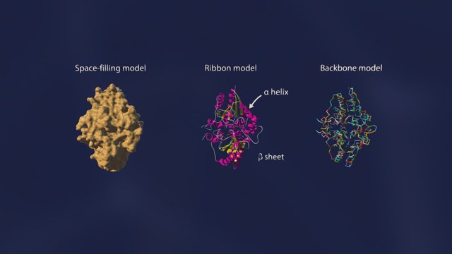 NQO2 3D Model