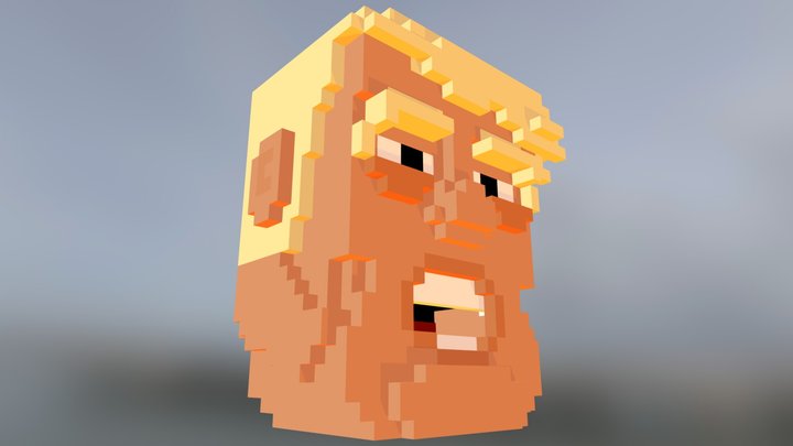 Voxel J. Trump 3D Model