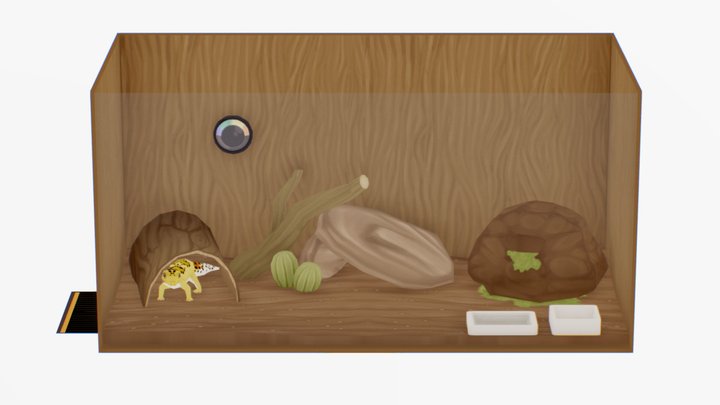 Leopard gecko vivarium 3D Model