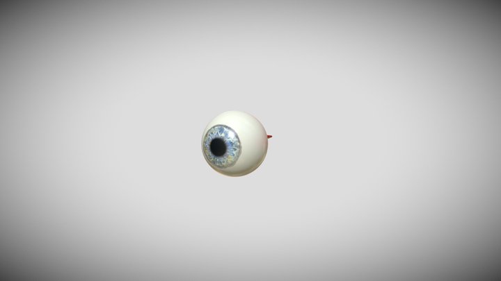Eyeball 3D Model