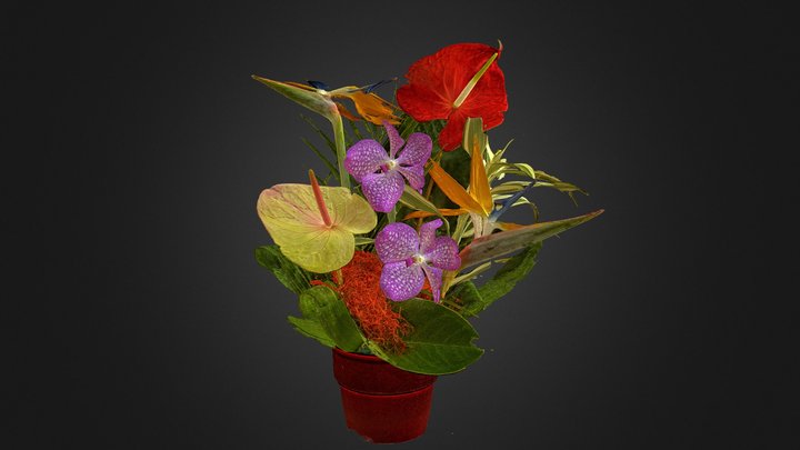 Bouquet de fleurs tropicales / new version (PBR) 3D Model