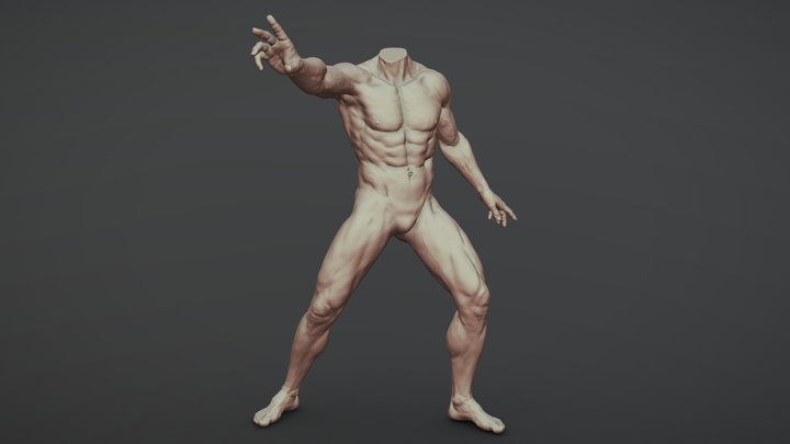 Male Full Body Sculpt Pose 2 3D Model