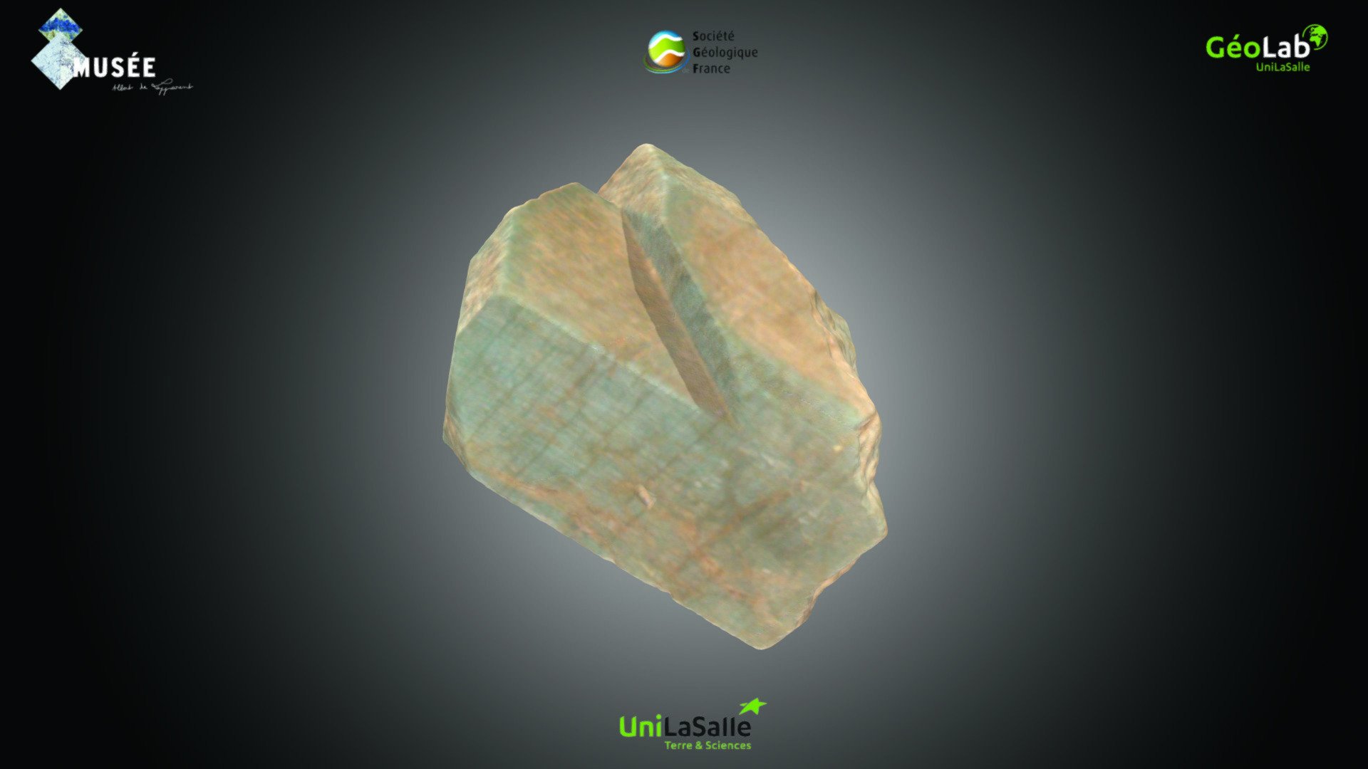 Roche - Microcline