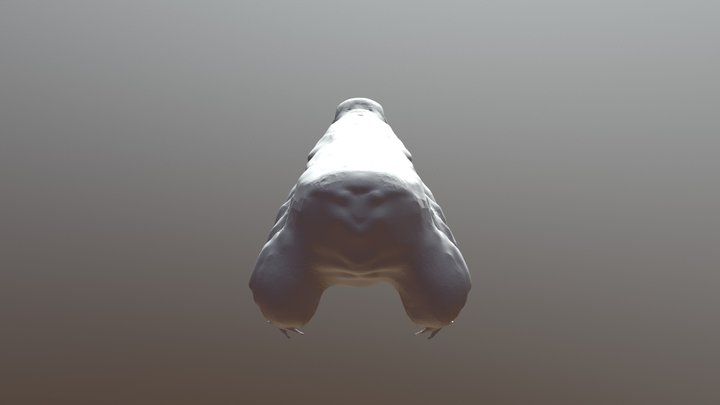Tardigrade 3D Model