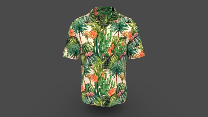 Men Hawaiian Printed Apparel Shirt 3D Model
