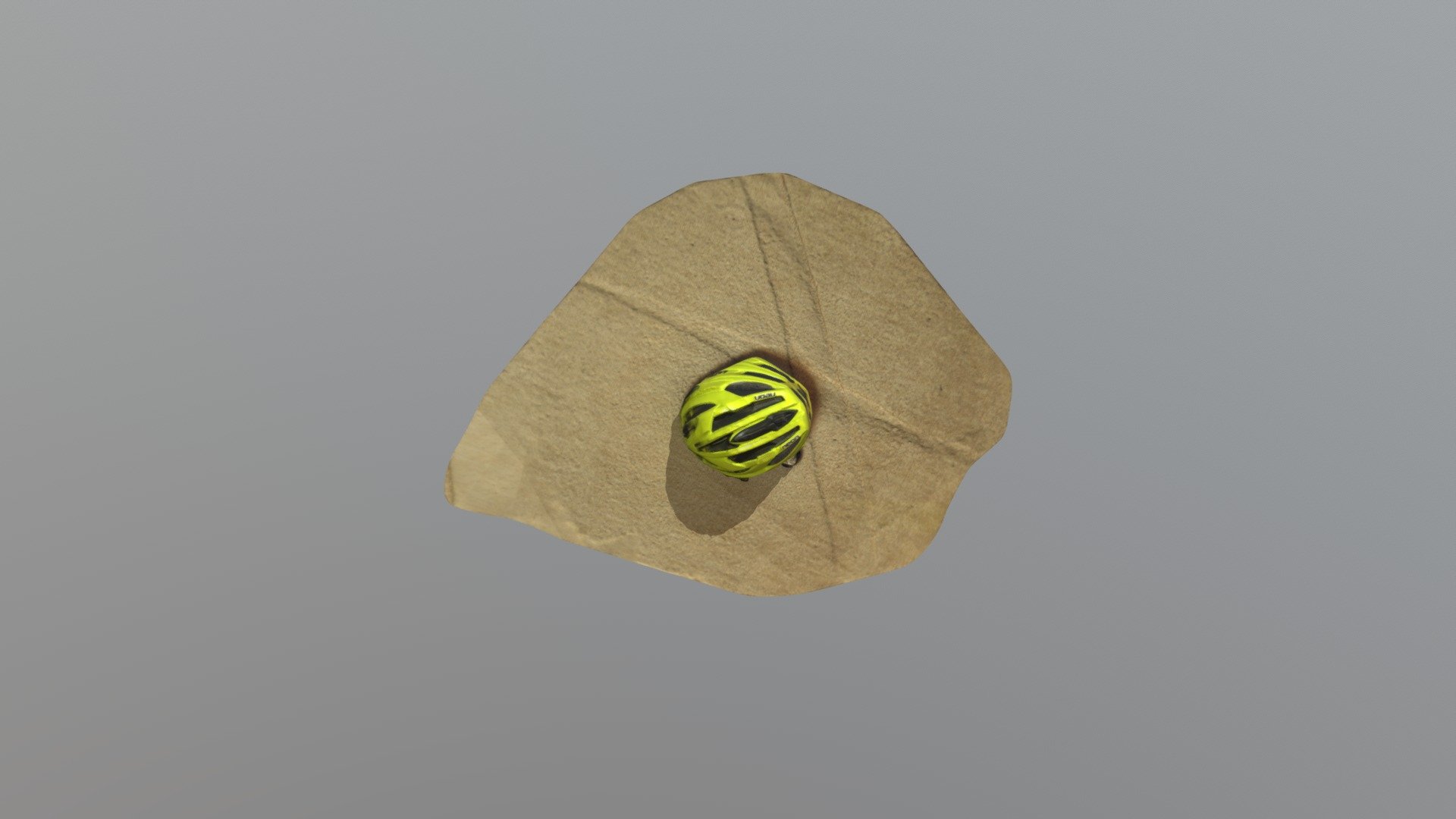 Helmet-1
